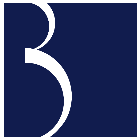 Baykar Tech Logo